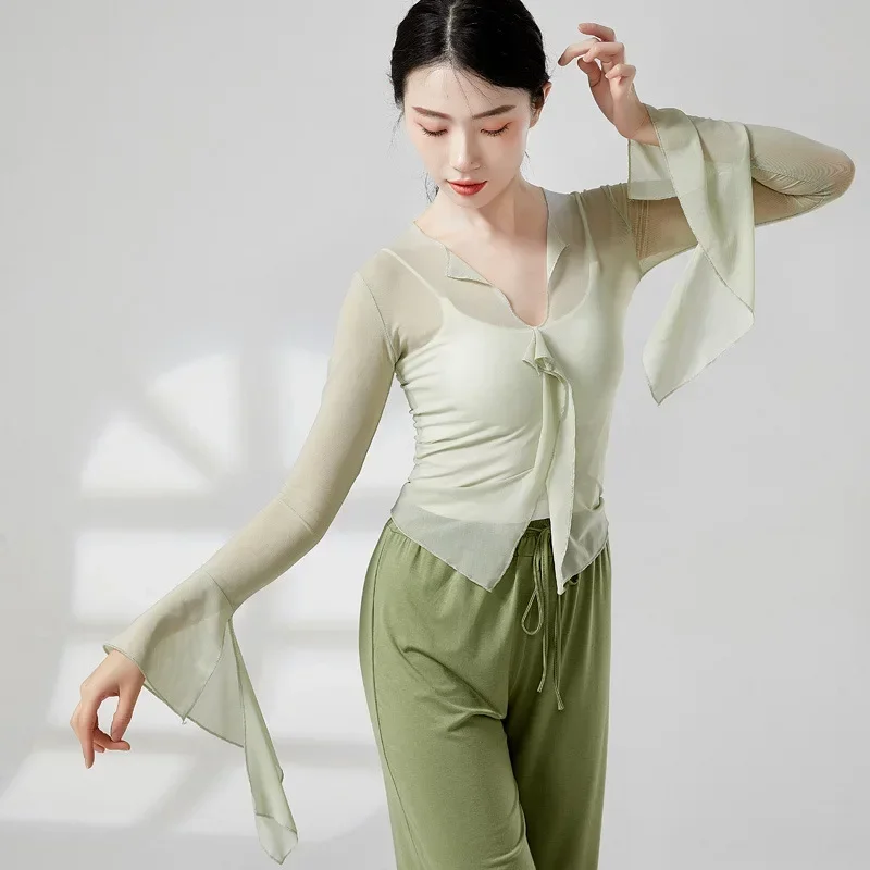 ملابس الرقص الكلاسيكي للسيدات، ملابس شبكية أنيقة، ملابس أداء اختبار الفن، قافية جسم الرقص الصيني العرقي