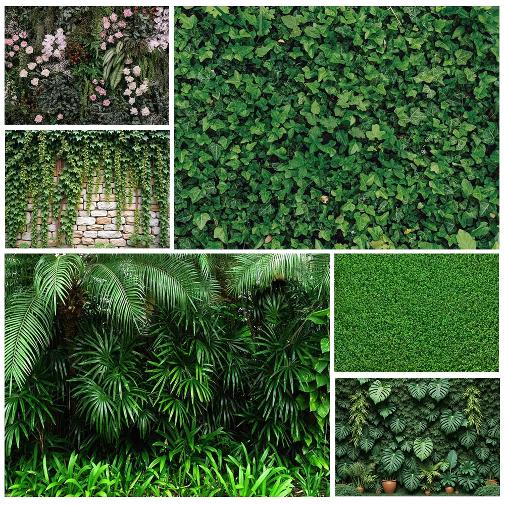 Moon.Qg Photography… - image