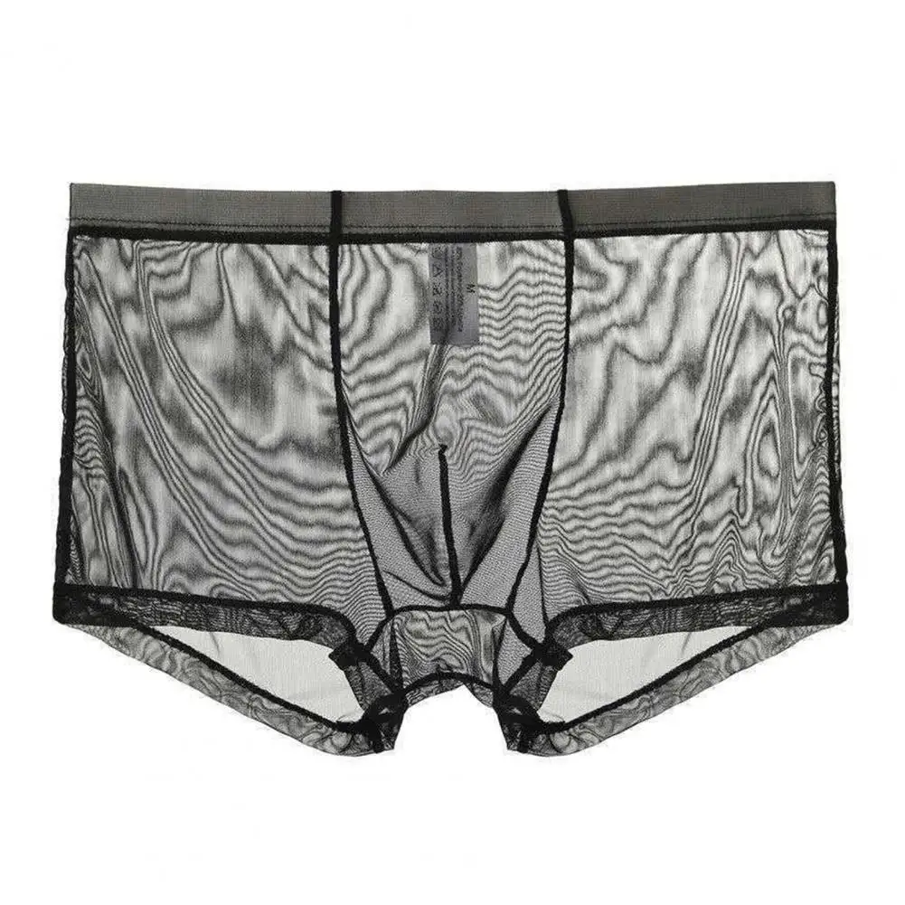 Transparent Boxers for Men See Through Male Underpants Sexy Mesh Low Waist Ice Silk Thin Cooling Men Panties Men Underwear