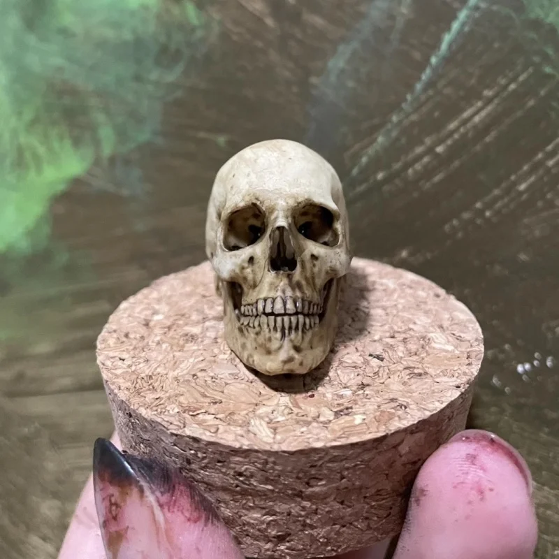1/6 Scale Retro Human Skull Skeleton PVC Model Pendant Decorations 12in Action Figure Toys Accessory Aquariums Decoration New