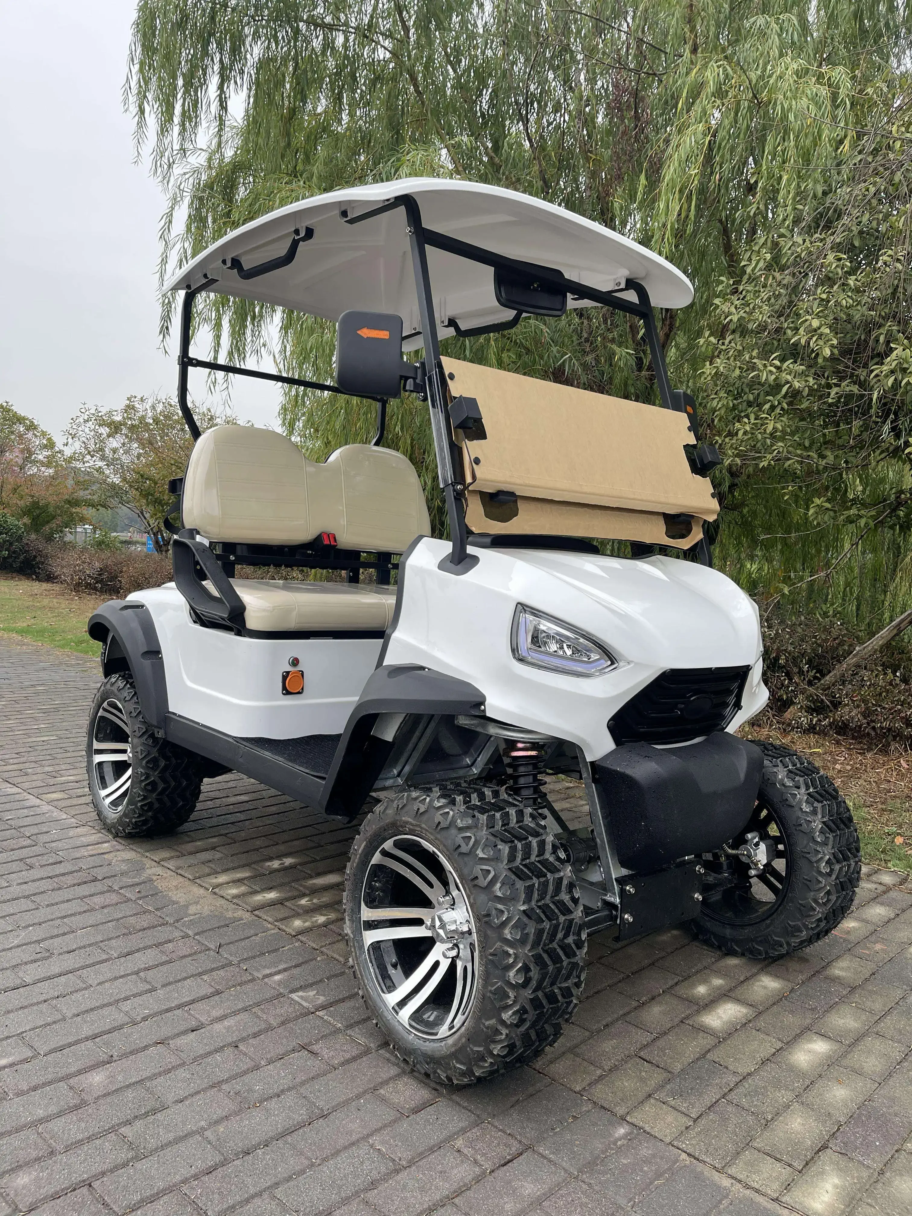 2 Seater Electric Golf Carts,golf Cart Battery,off Road Golf Carts