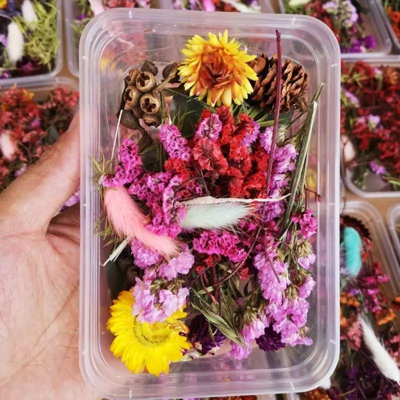 Y1UB 1 Box echte Mix getrocknete Blumen für Harzschmuck Trockenpflanzen gepresste Blumen DIY