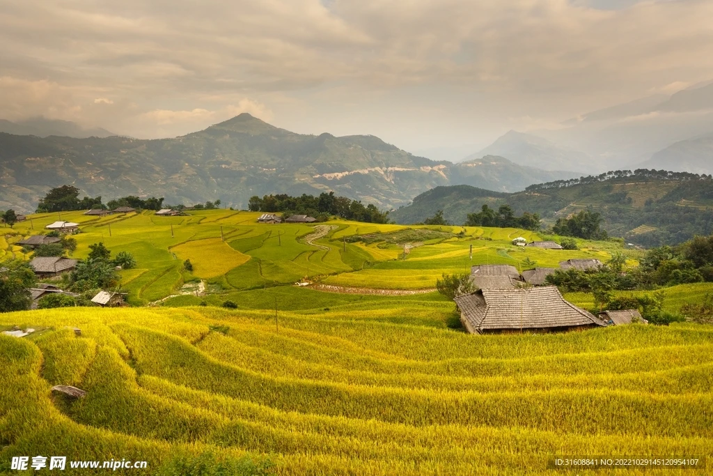 

[Запчасти для тюнинга] Специальная легкая шестерня Kyosho MP9/MP10 45T для радиоуправляемых внедорожников 1/8, черная