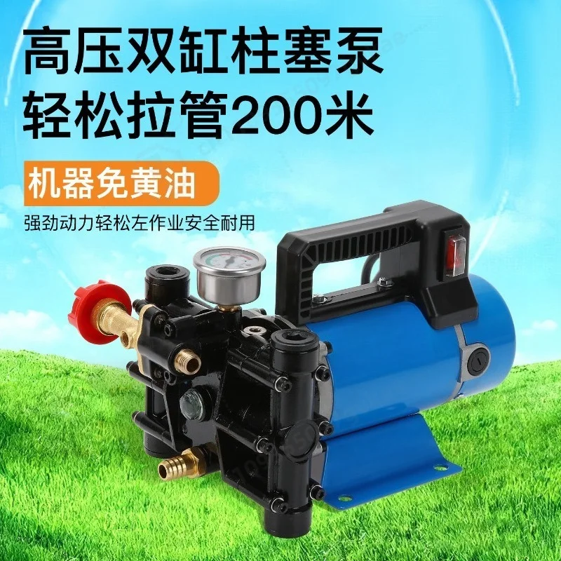 Portable Sprayer 12V24V48V60V220 Electric Sprayer Double Cylinder High Pressure Fruit Tree Spraying Pump
