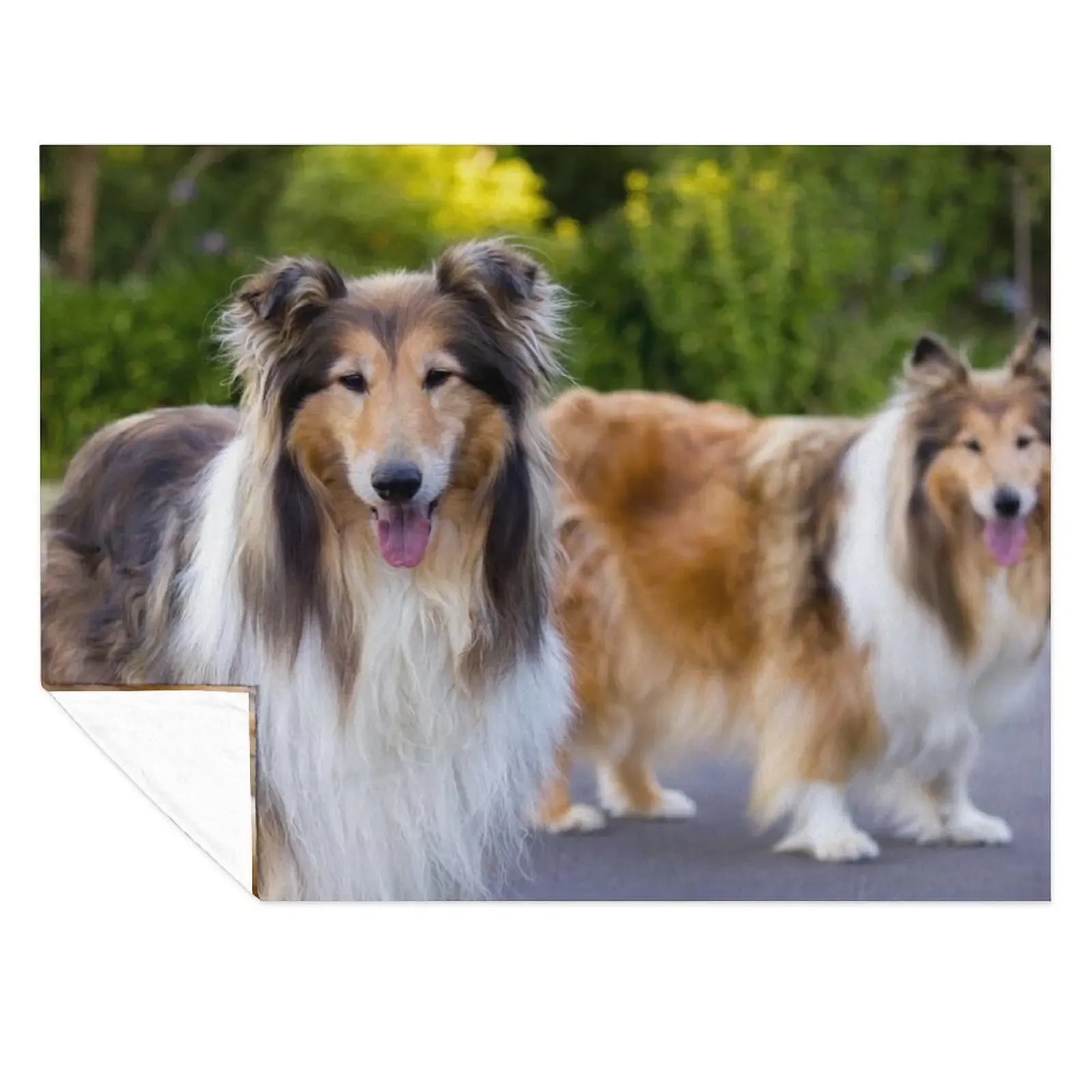 

Diamond And Gold Collies Throw Blanket Weighted Designers Decorative Sofas cosplay anime Blankets