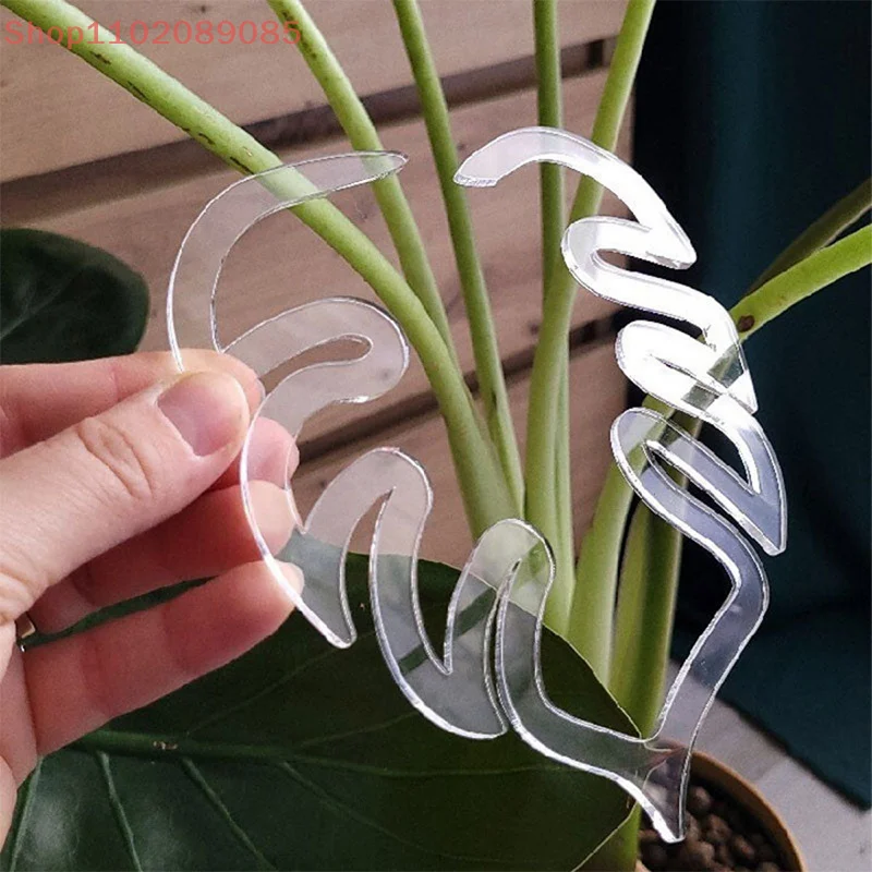 Clear Monstera Plant Stem Support; Reusable and Durable Potted Plant Stand