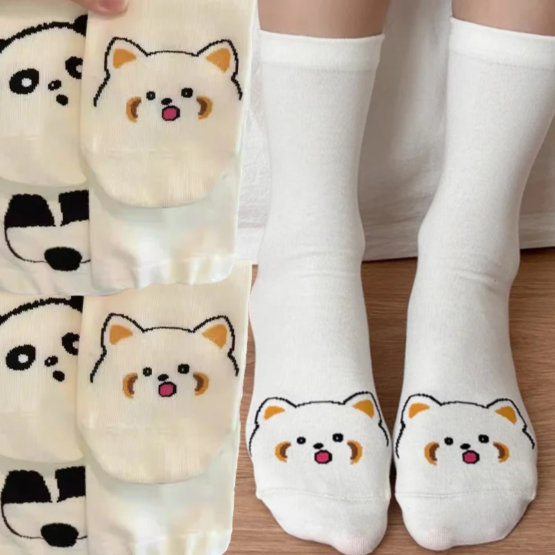 2026 الربيع/الخريف جديد الجوارب النسائية ثلاثية الأبعاد الكرتون الراكون الأوسط الجوارب اليابانية لطيف مجردة مضحك الهيب هوب Ins جوارب قطنية #1