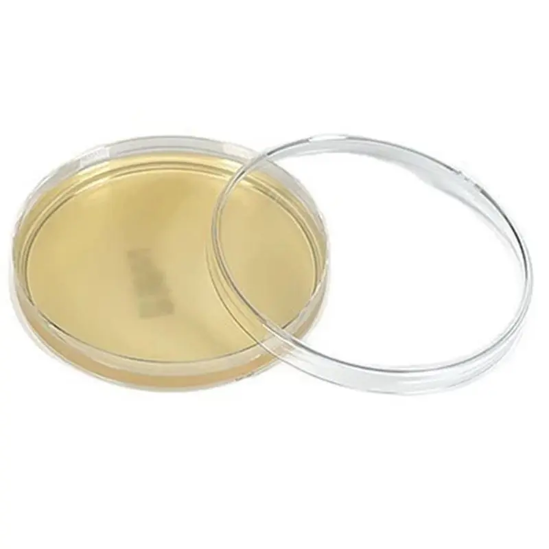 A53M-Pre Poured Science Tool Petri Dishes Nutrient Agar Plates Tool