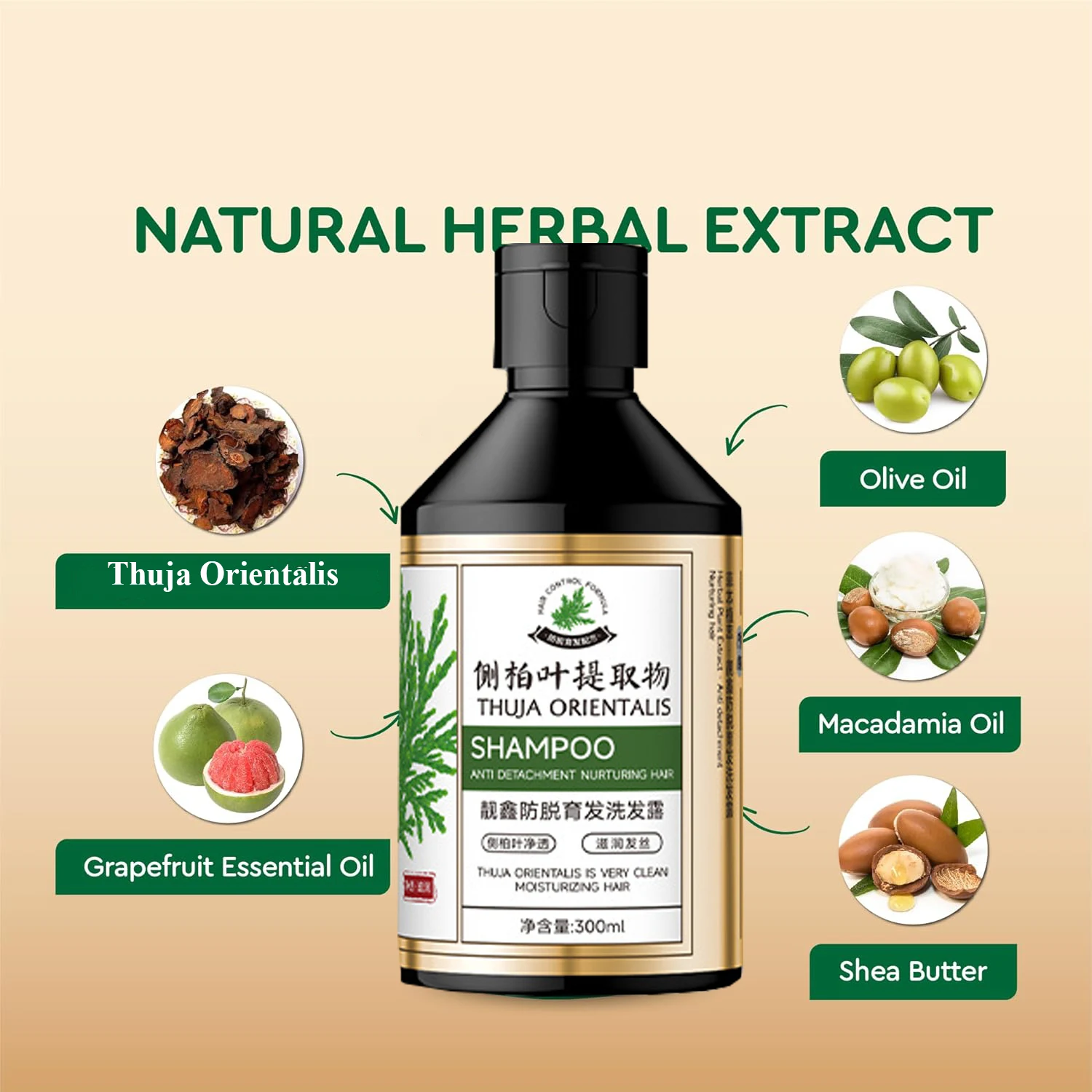 300 مللي هونغ كونغ ثوجا أوريناليس شامبو نمو الشعر لتخفيف الشعر لعلاج الشعر الرمادي السميك يمنع تساقط الشعر #2