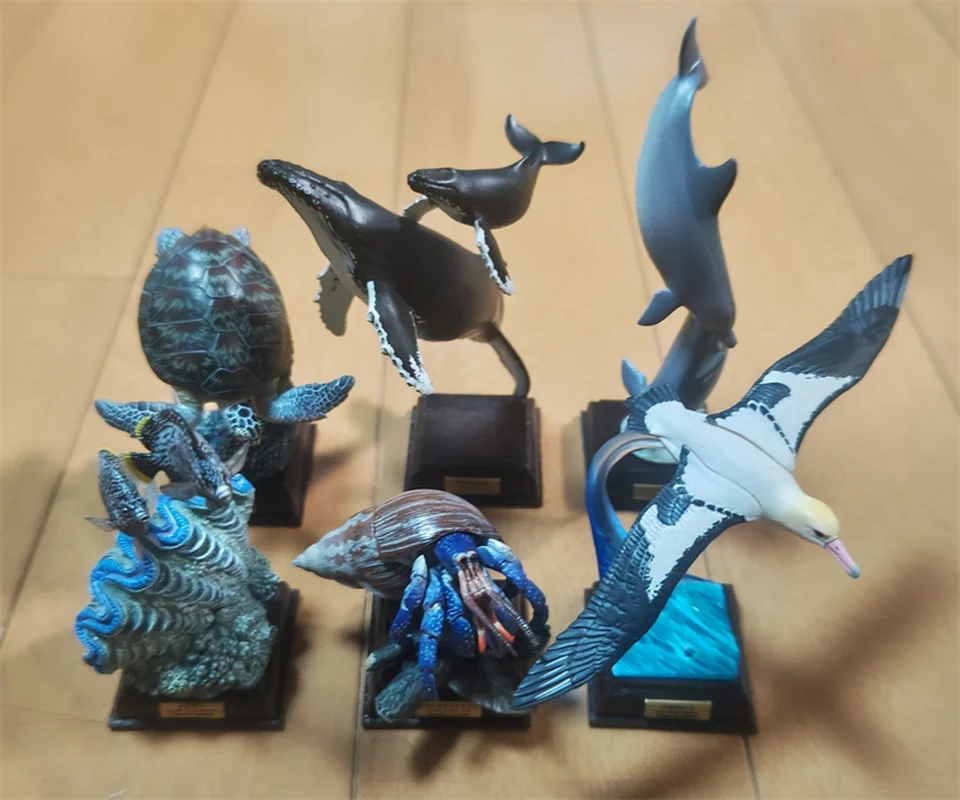 In Stock Kitan Ikimon Ntc The Ogasawara Marine Animals Special