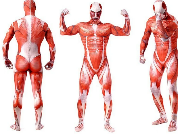 Halloween Attack on Titan Cosplay Costumes 3D Print Attack on Titan Male Zentai Catsuit Girls Bodysuit