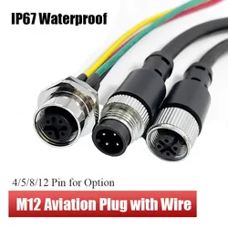 M12 4 5 8 12 Pin Aviation Plug with Wire Industrial Waterproof IP67 Pure Copper Male Female Sensor Connector Connection Line