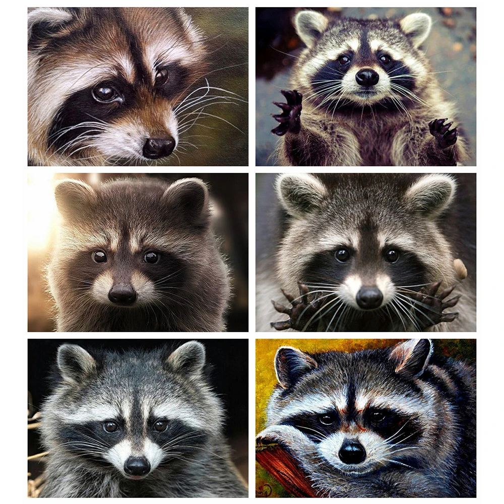 Evershine Full Square Round Diamond Painting Raccoon Cross Stitch Kit Diamond Embroidery Sale Mosaic Animal Rhinestone Art