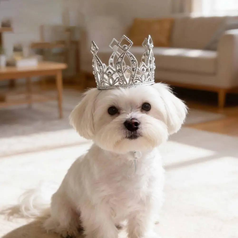 

Sparkling Pet Crown Hat,Adjustable Royal Cat Crown with Drawstring Rhinestone for Cats And Small Dogs Cosplay Birthday Party