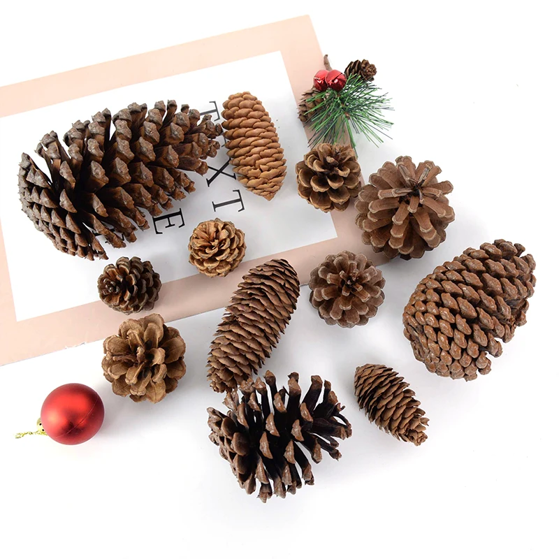 1-10Pcs Natural Pine Nuts Dried Artificial Pinecone Plants DIY Garland Wreath Scrapbooking Christmas Decorations For Home Decor