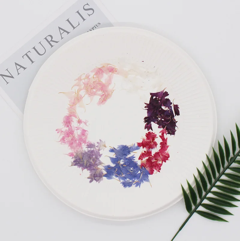 20 Plant Specimens, Cornflower - Resin Art Baby recension och pris