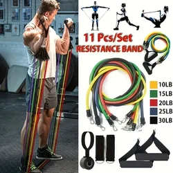 Sport Rubber Band for Fitness Equipment Resistance Bands Elastic Band for Pulling Up Gym Exercise Training Portable Body Sports