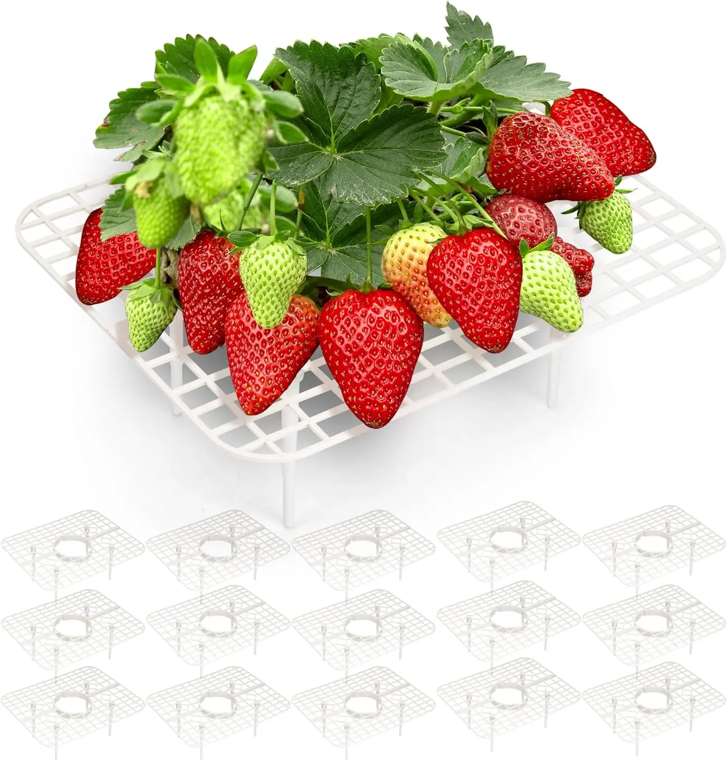 

16 Pa Square Strawberry Supports Stand For Garden Strawberry Growing Racks For Keeping Garden Strawberry Clean (White)