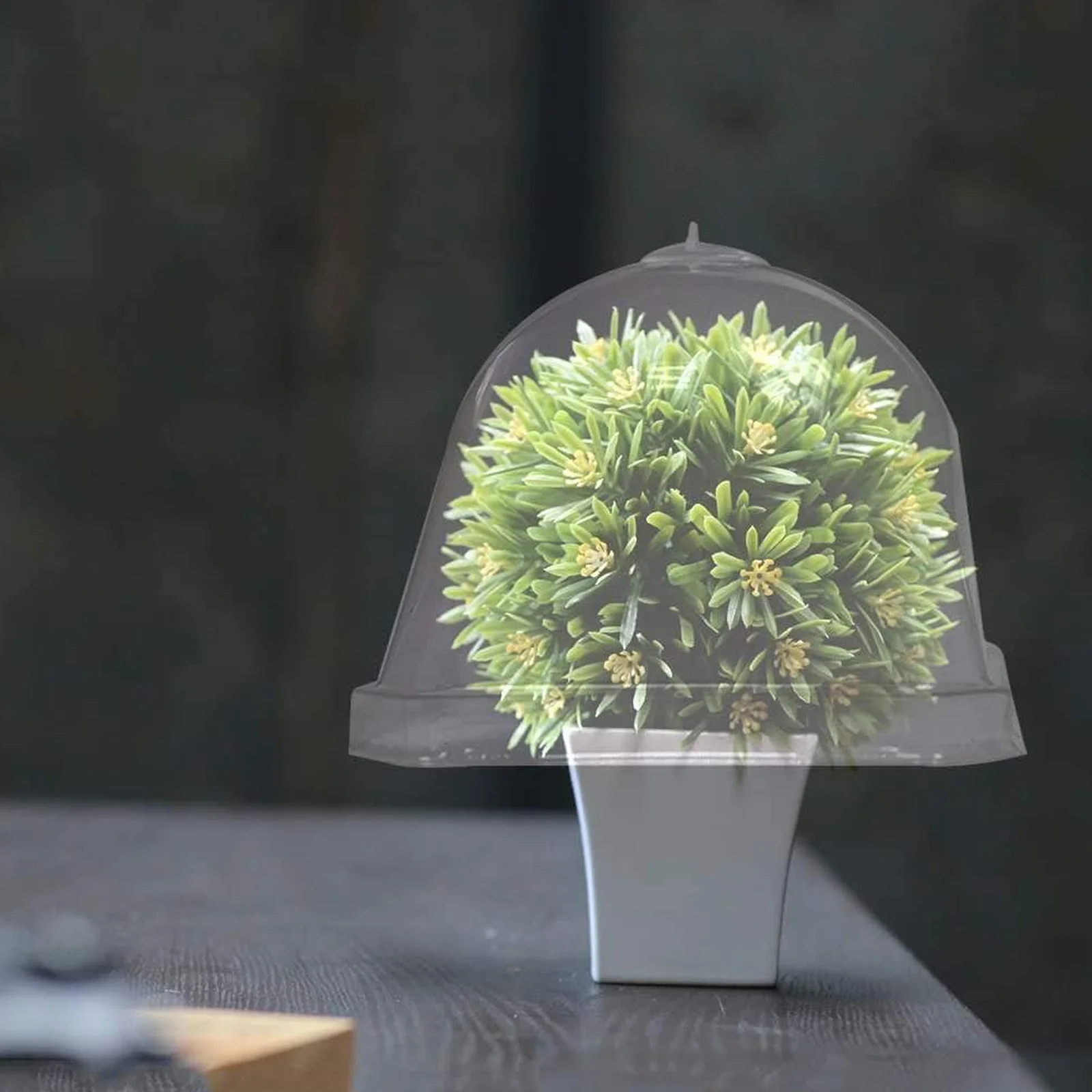 

Transparent Plant Dome Cover for Frost Snow Protection Suitable for Mini Plants Premium Quality Germination Cover with Airflow