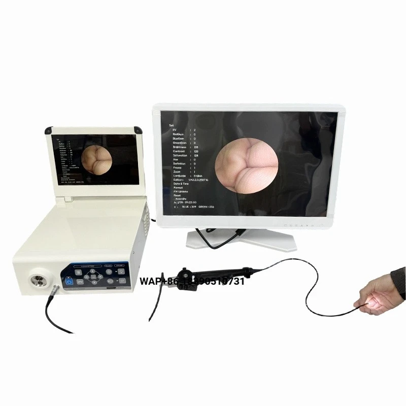 Flexible veterinary gastroscope/endoscope for cats, dogs, horses and dolphins