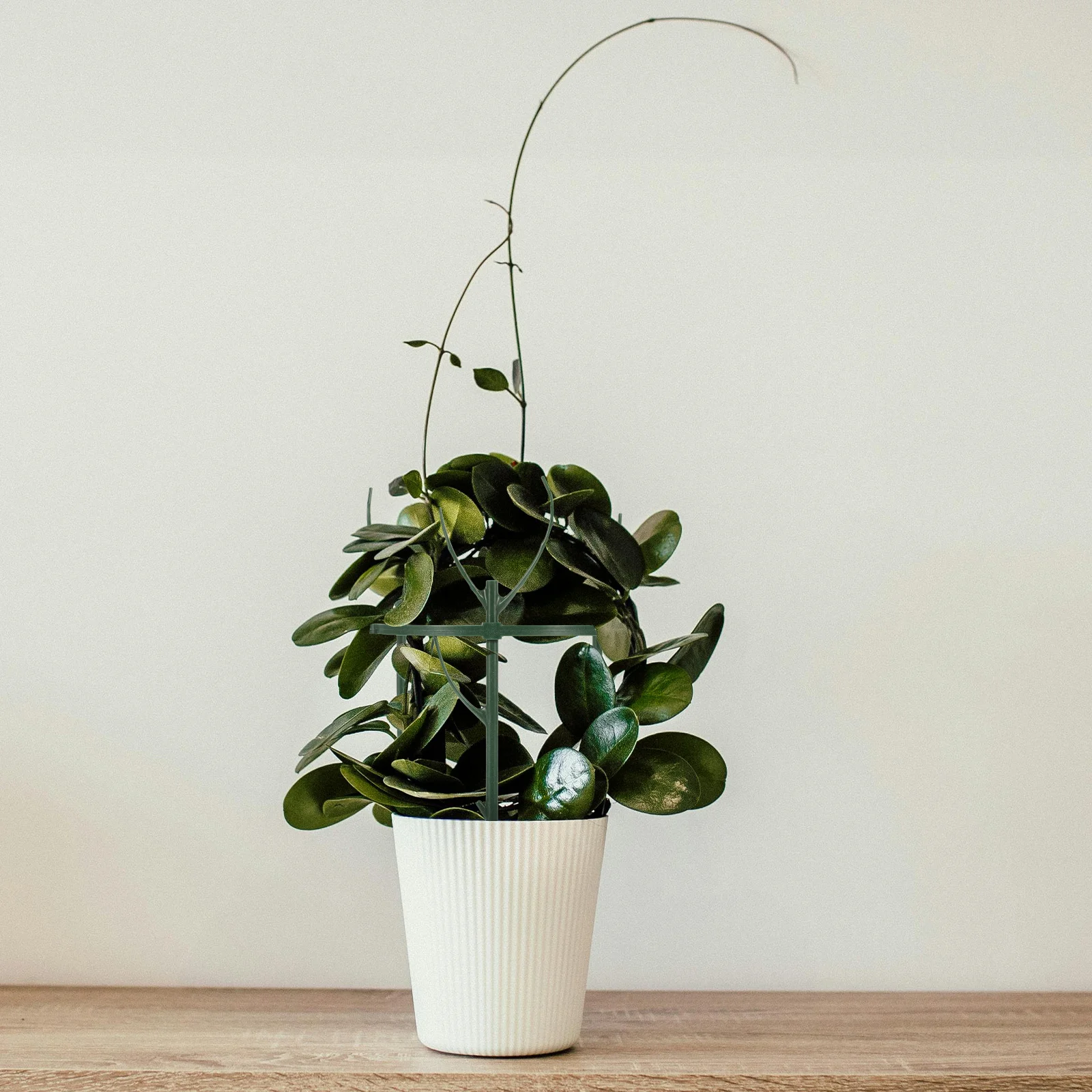 رف دعم قابل للتكديس على شكل غصين نباتي قابل للفصل للنباتات الداخلية والخارجية ومستلزمات الحدائق ودعم النباتات