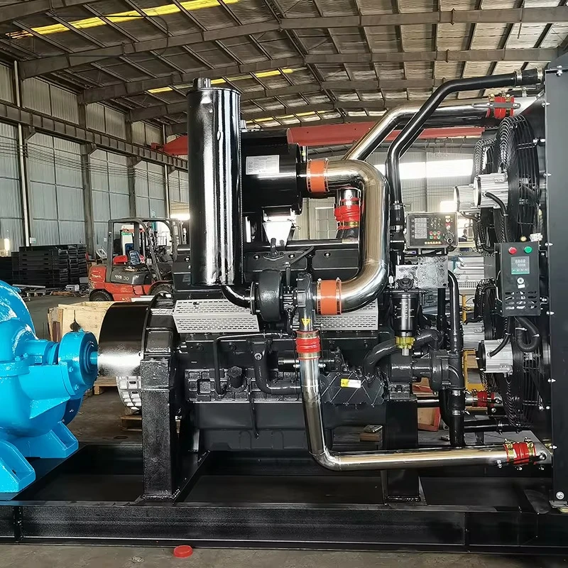 Engine Water Pump Agricultural Irrigation Double Suction Pump 220V/380V Frequency Conversion Iron Material High Flow 150