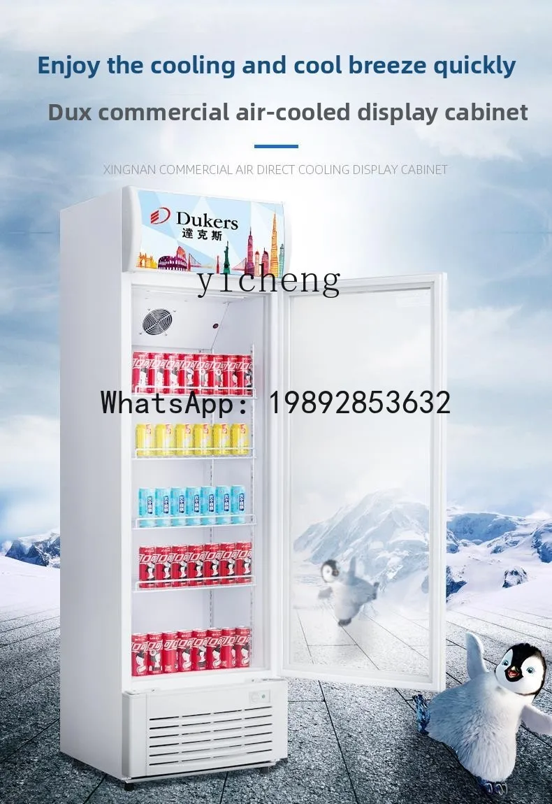 BX3  first-class energy efficiency refrigerated display cabinet vertical fruit flower supermarket beverage freezer
