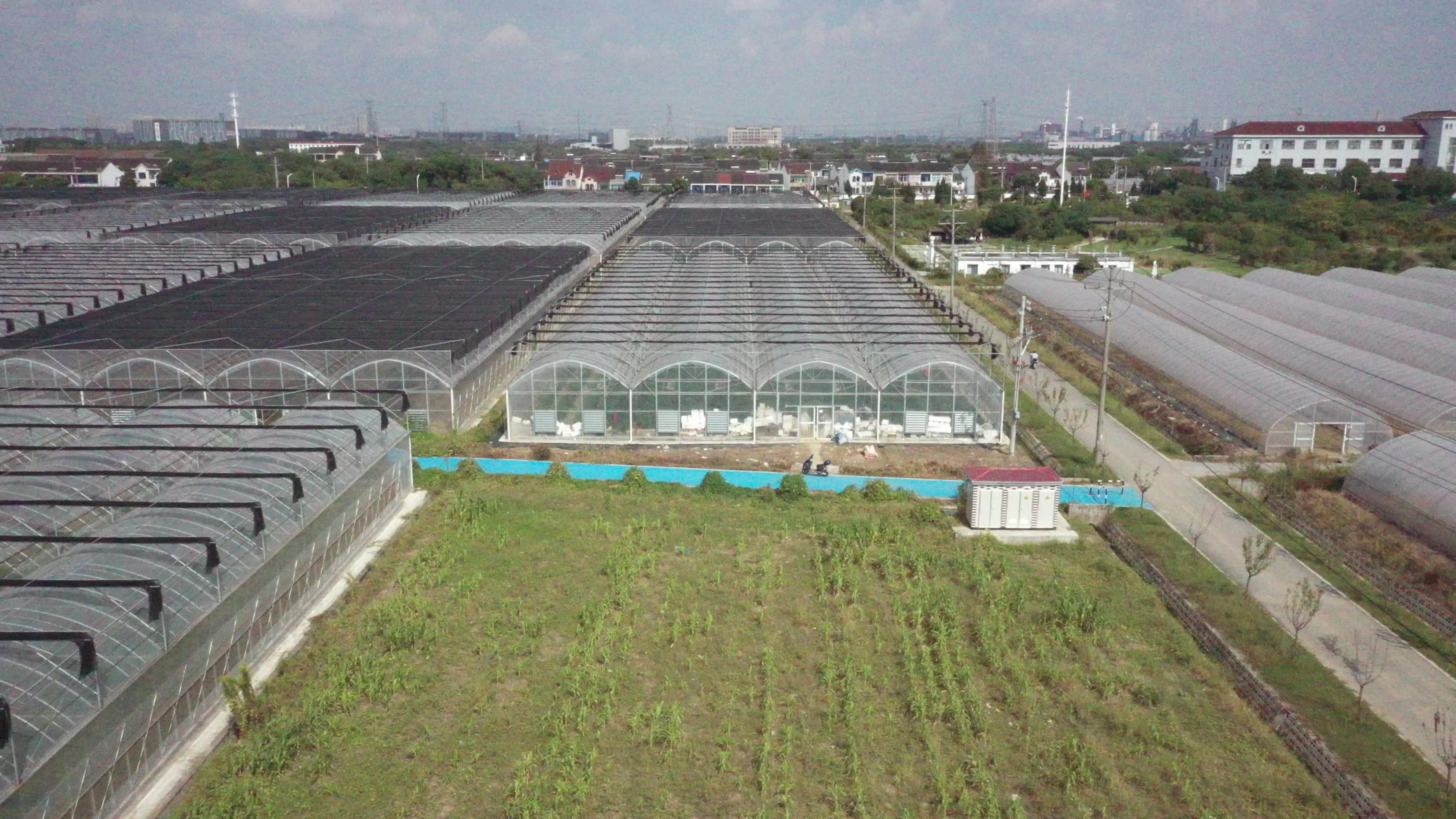 2025년 단일 경간 온실, 외부 차광 필름 온실, 다중 경간 채소 재배 온실