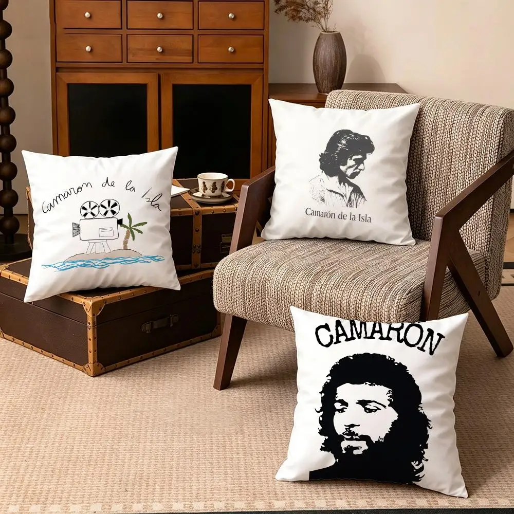 Celebrity-Camaron de la IslaS Cushion Cover Soft Velvet Cushion Cover Set 4Pcs 50x50 45x45 Zipper Pillowcase for Home Decor