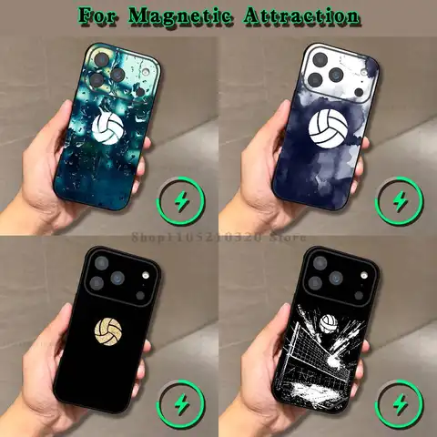 Painted Art Volleyball  Phone Case For iPhone 17,16,15,14,13,12,11,Pro,Max,Plus,E,Air,Mini Magnetic Magsafe Frosted