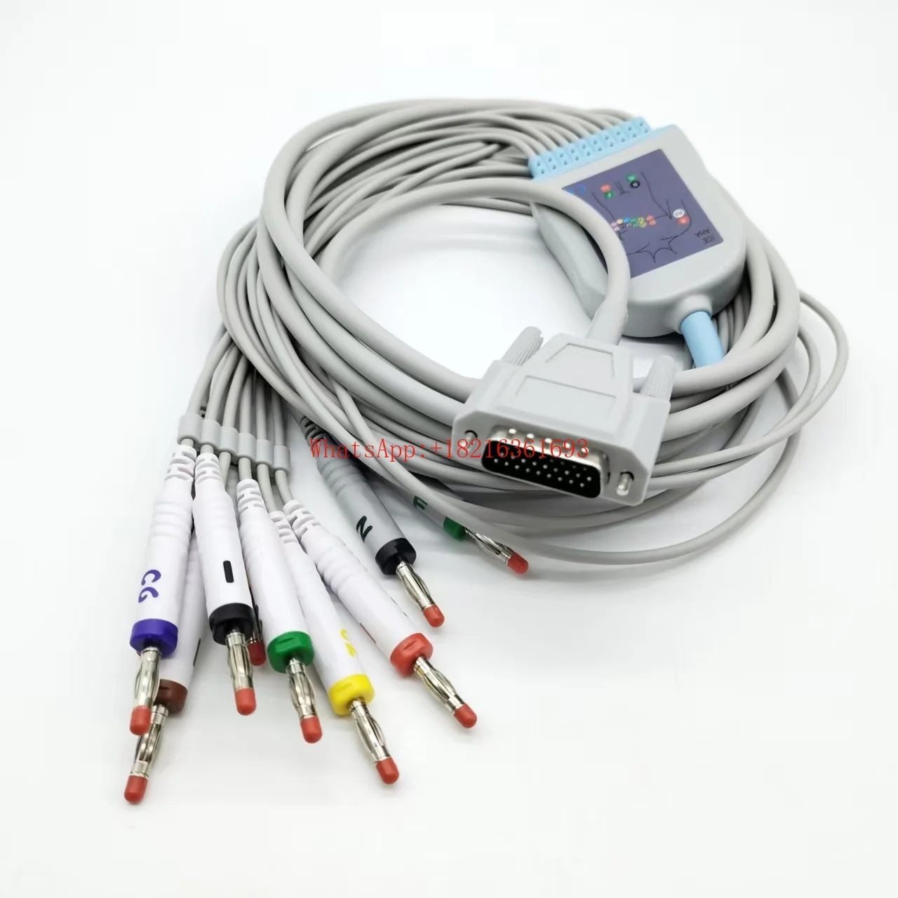 Twelve Lead Electrocardiograph Lead Cable with Three Rows and 26 Pins