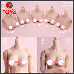 Worldbox 1/6 Female D Cup E Cup Breast Big Bust Replacement Accessories Model Fit AT201 AT202 AT203 Action Figure Body