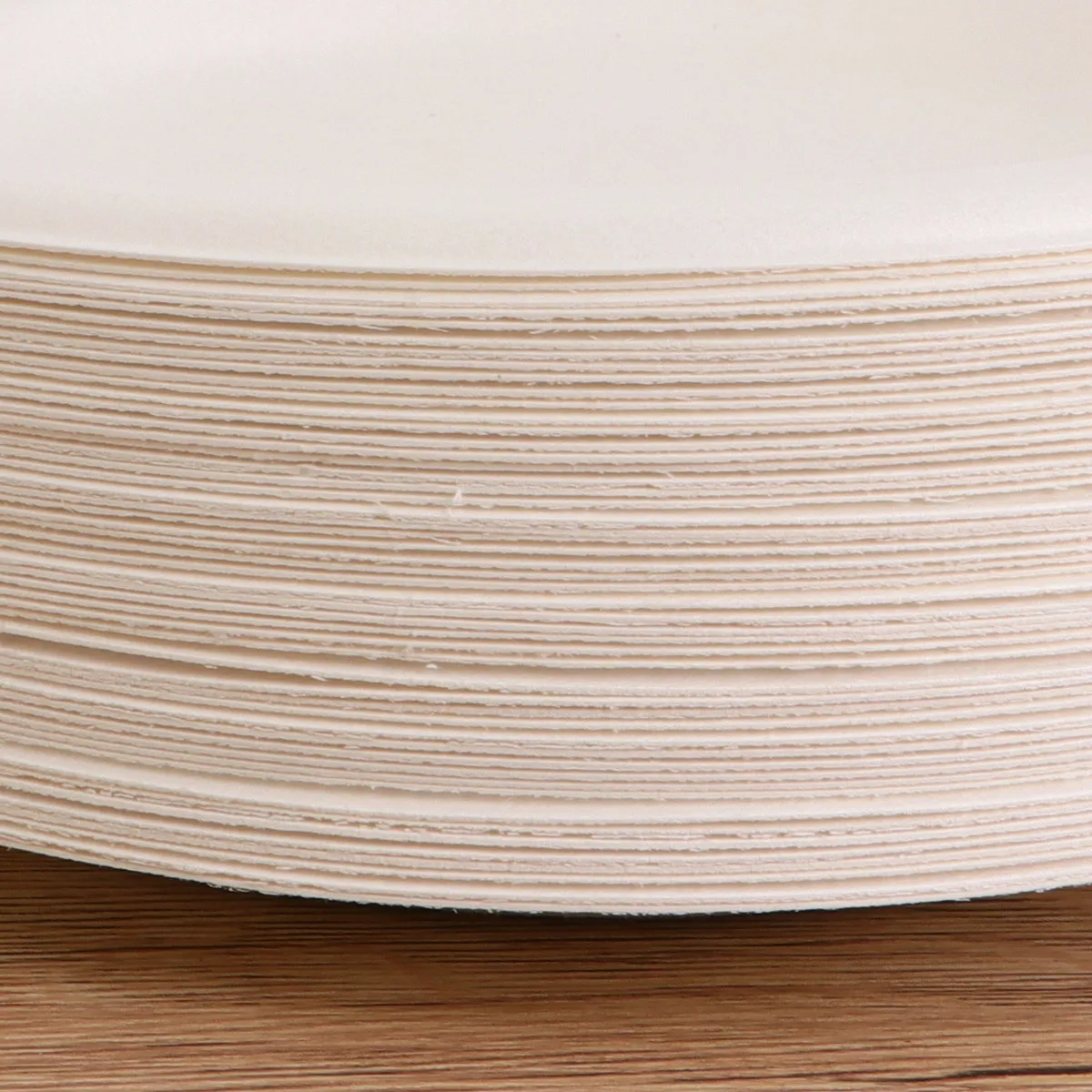 100Pcs 6 Inch White Round Degradable Paper Pulp Plates Odorless Safe Eco Friendly Disposable Serving Tray for Parties Potluck