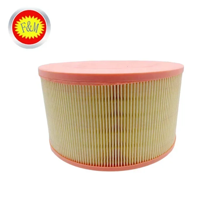 Filtro aria per ricambi auto OEM ab39-9601-ab per auto