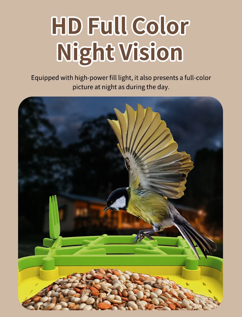 STLFSmart Bird Feeder HD CamerasMobiele app-bediening Weerbestendig buitenbewakingssysteem op zonne-energie