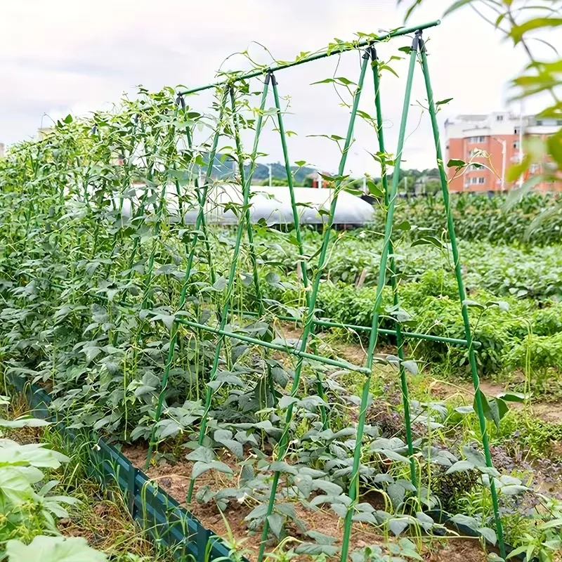 2026 New Sturdy Plant Support Trellis 3 Horizontal 6 Vertical PVC-Coated Steel Pipe Stakes for Garden Vegetables Climbing Plants