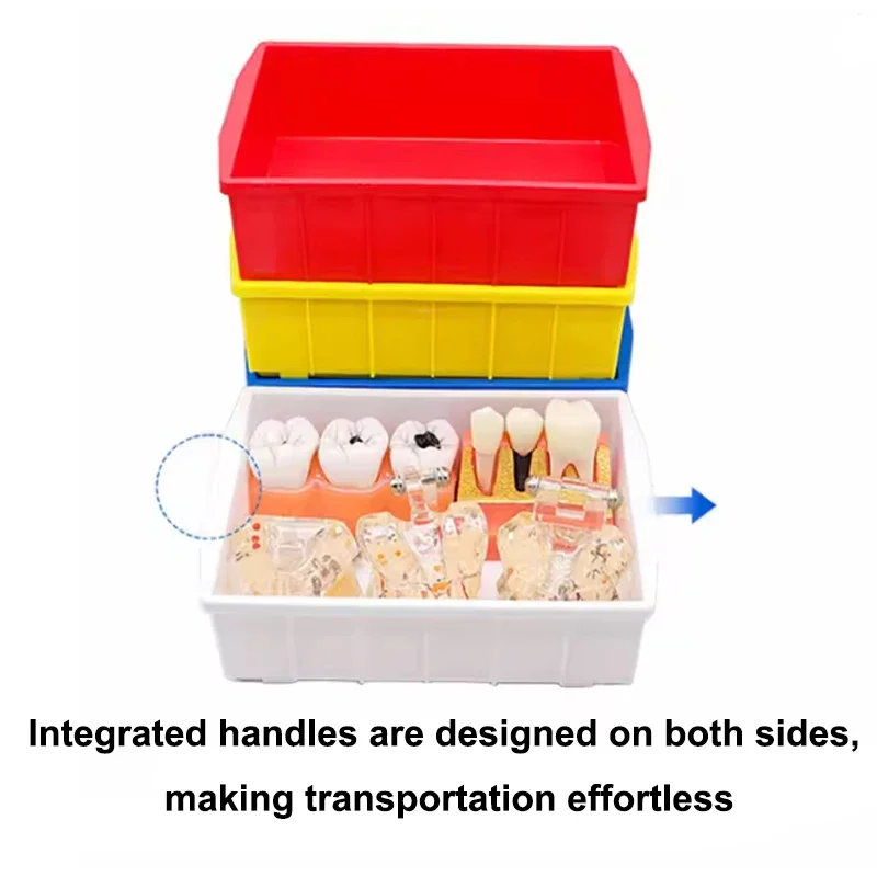 Dental Model Storage Box Container Sorting Case Dentistry Sorting Placement Plastic Box Lab Tools Dental Lab Work Tray
