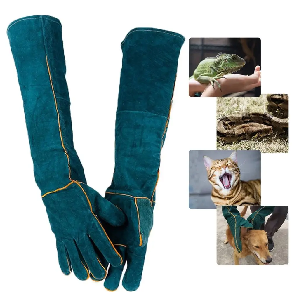 #18 Latest Pet Agility Equipment Offers