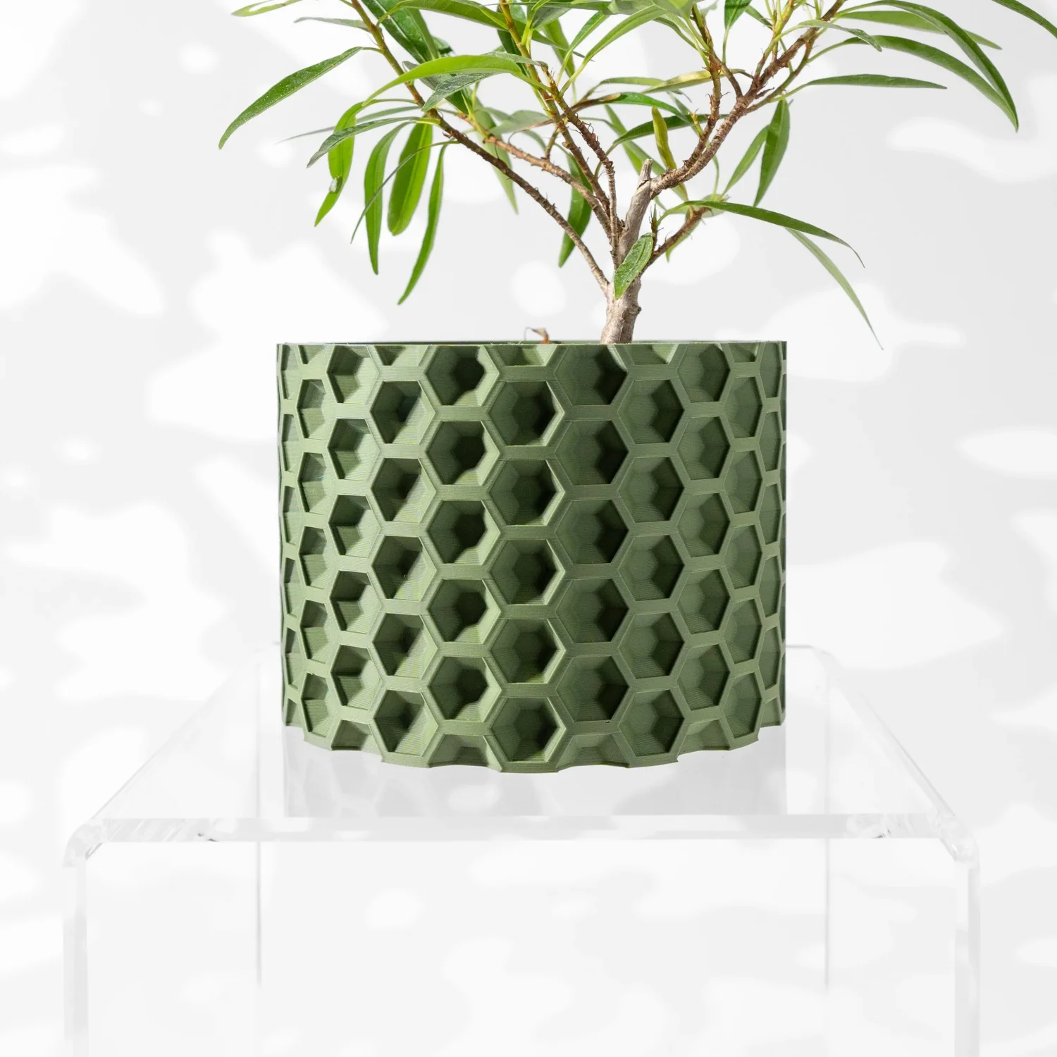 

Modern Minimalist 3D Printed Plant Pot – Biodegradable Flower Planter for Home Decor, Eco-Friendly Sustainable Gift (Armos)