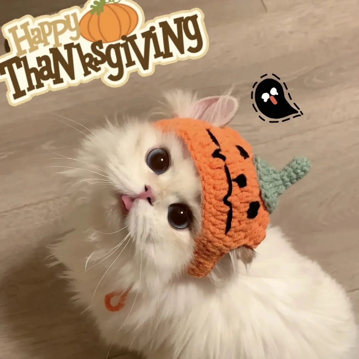 Loween Pet Scarf Sa… - image