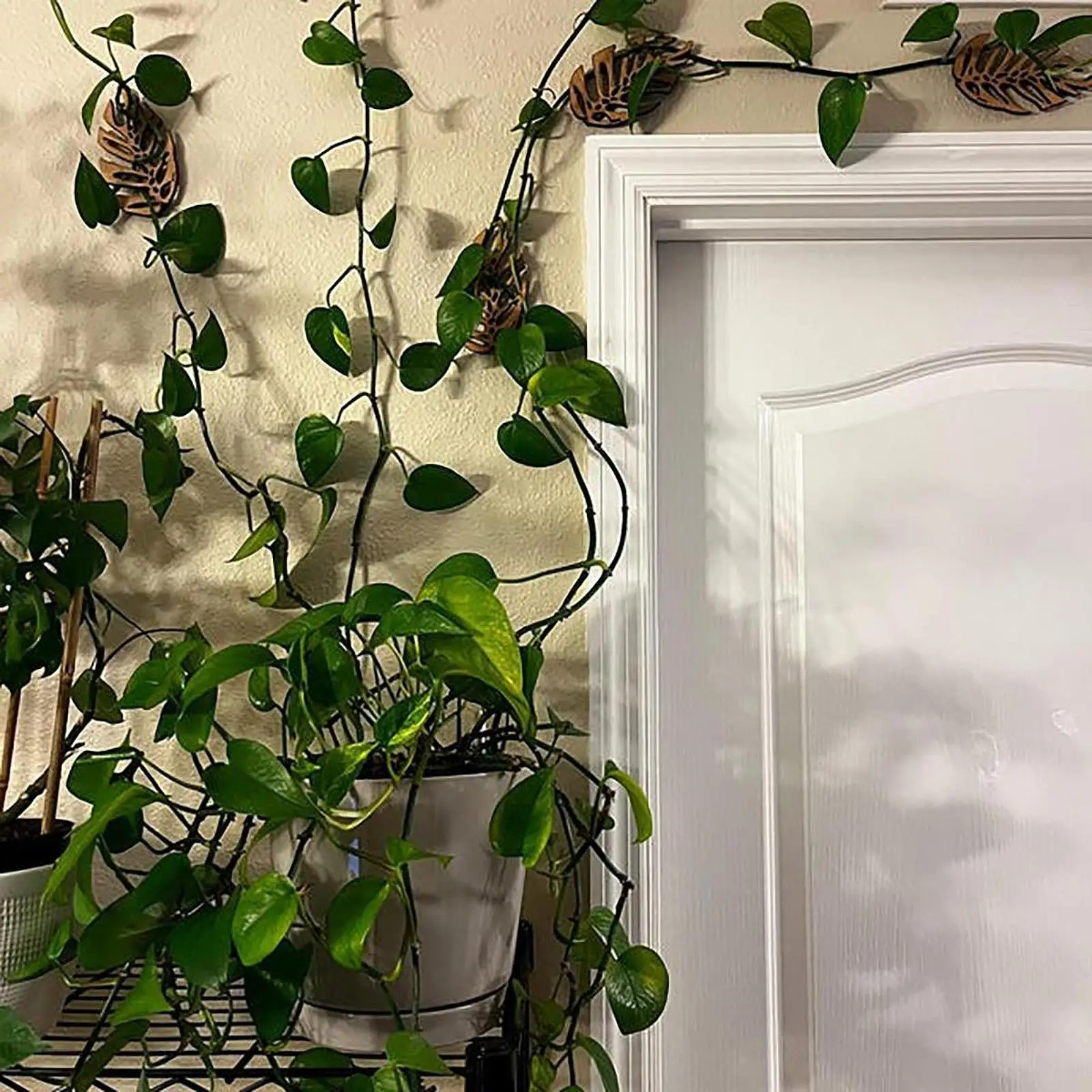 3x Wall Plant Climbing Brackets Plant Support Compact Premium Accessories Wall Decoration for Living Room Bedroom Entrances