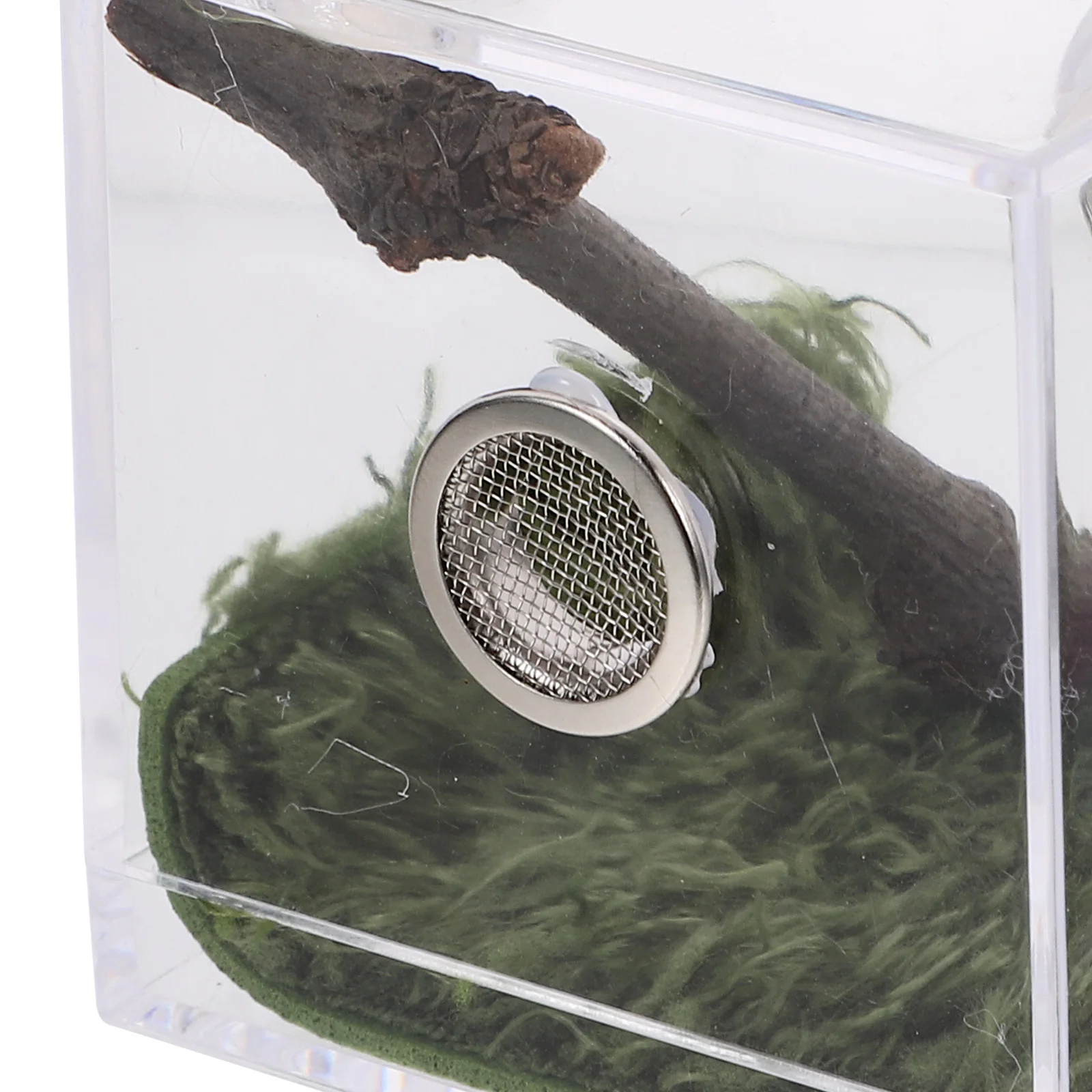 

Transparent Wolf Spider Terrarium Lightweight Durable Acrylic Insect Feeding Case For Jumping Spider Habitat Breeding Box