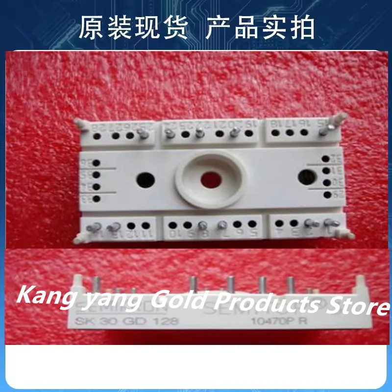 

SK30GD128 IGBT Module
