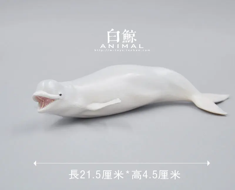 Beluga Whale Desk Ornament Models Genuine Brand New Lifelike Animal Themed Model Toys