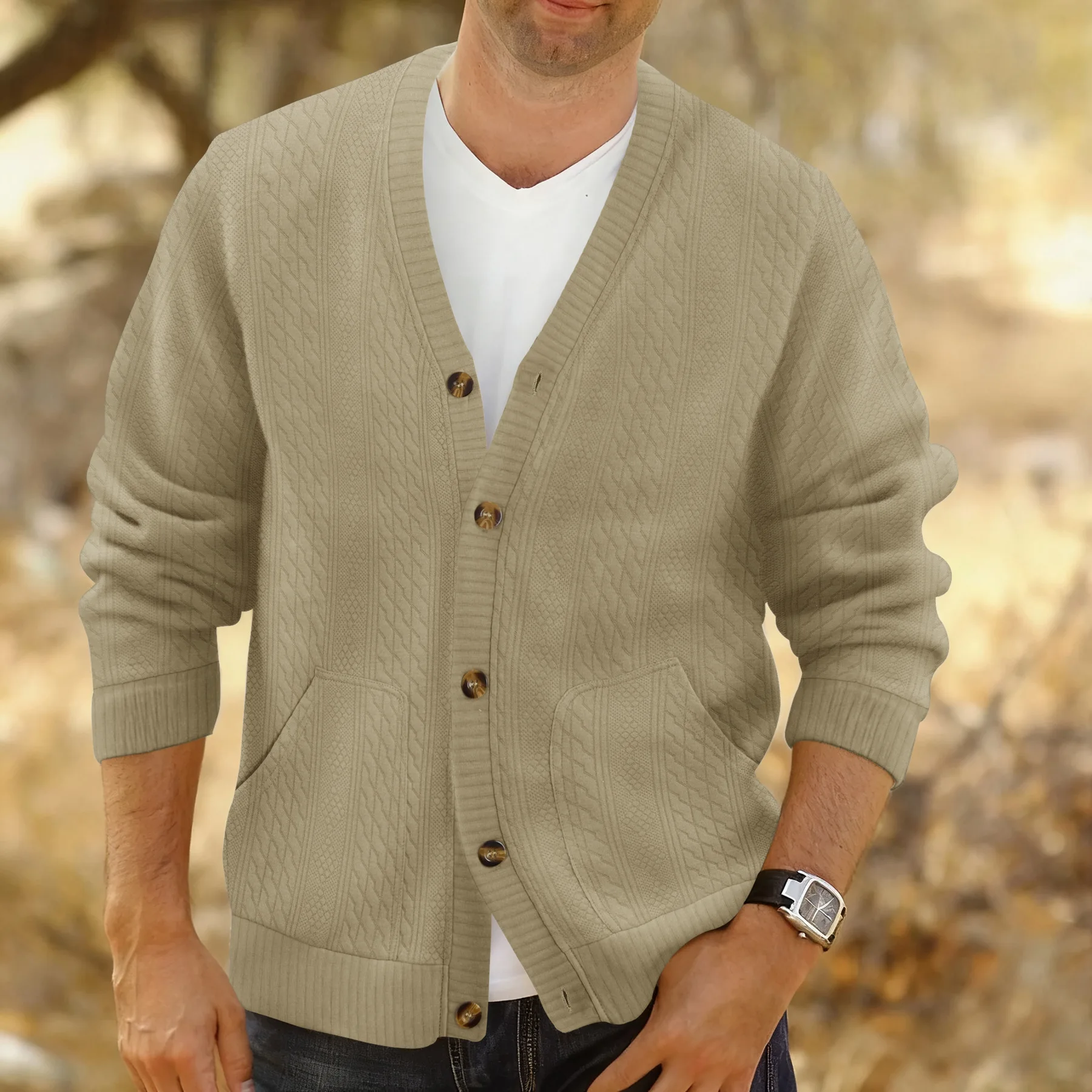 Cross-border new spring and autumn button jacquard non-ironing v-neck cardigan jacket retro casual out men's models