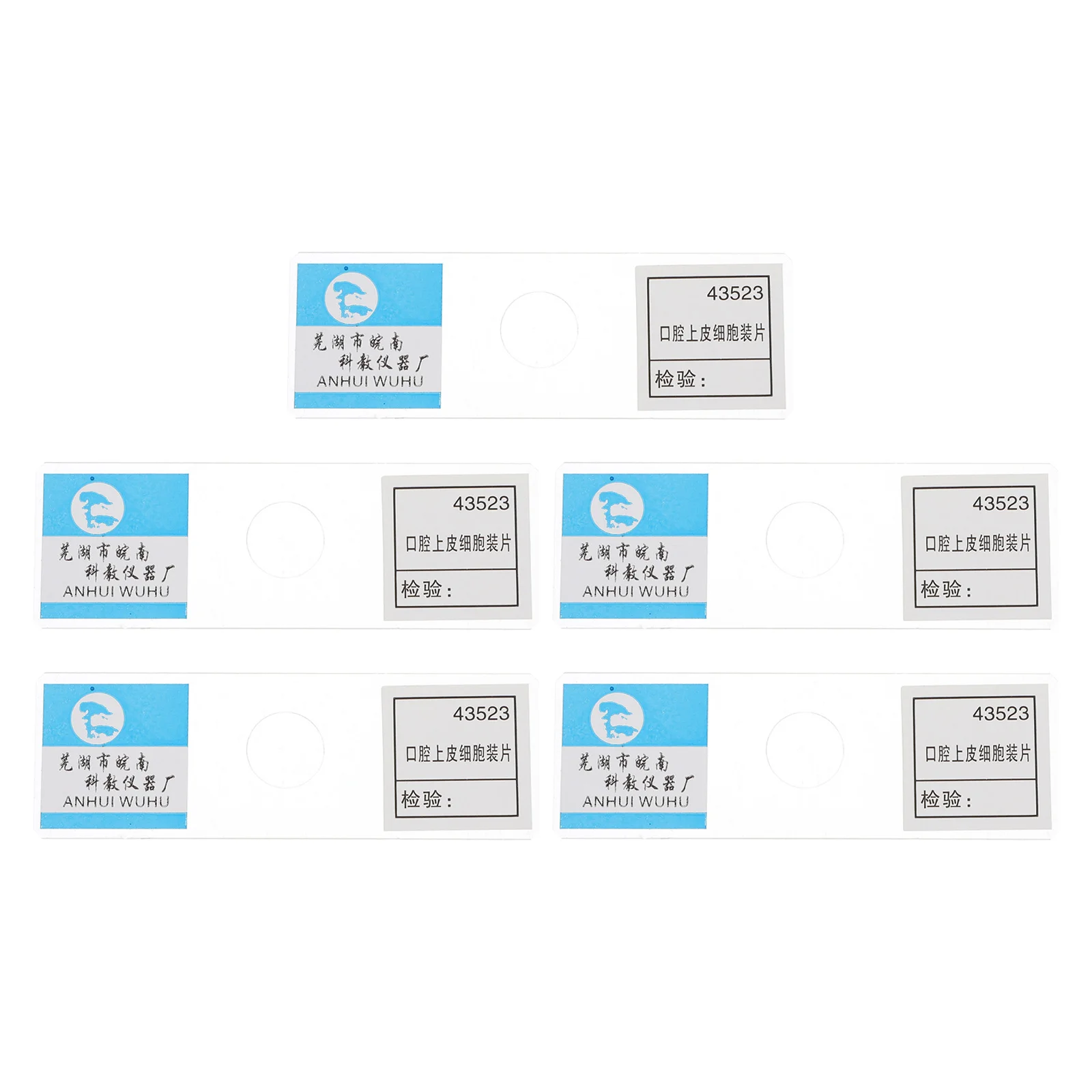 

5Pcs Biological Teaching Prepared Microscope Slides Oral Epithelial Cells Clear Education Props for Home Study