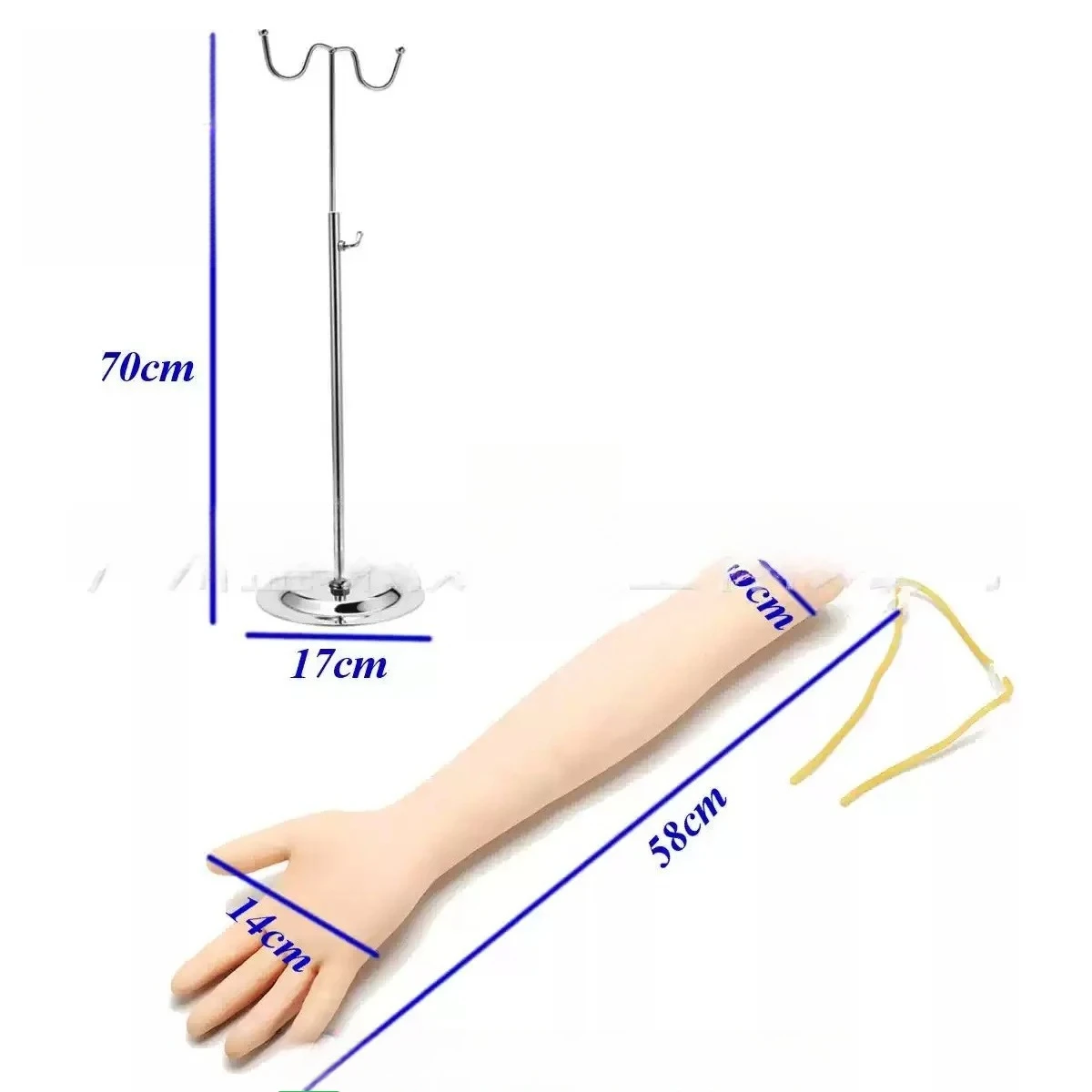 For Arm Venipuncture Training Model, Injection Practice Simulator for Nurse Phlebotomy Medical Teaching Training Equipment