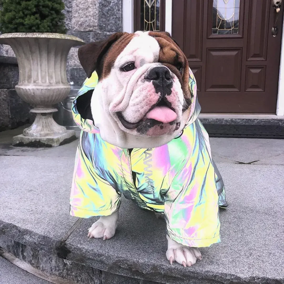 

Dog Clothes for Pet Dogs Raincoat for Dog Coat Windbreaker Fashion Reflective Clothes for Large Small Dogs Puppy Jacket Pug