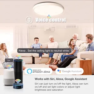 أفضل 8 مصباح سقف لمدخل قاعة المبيعات - رقم 4