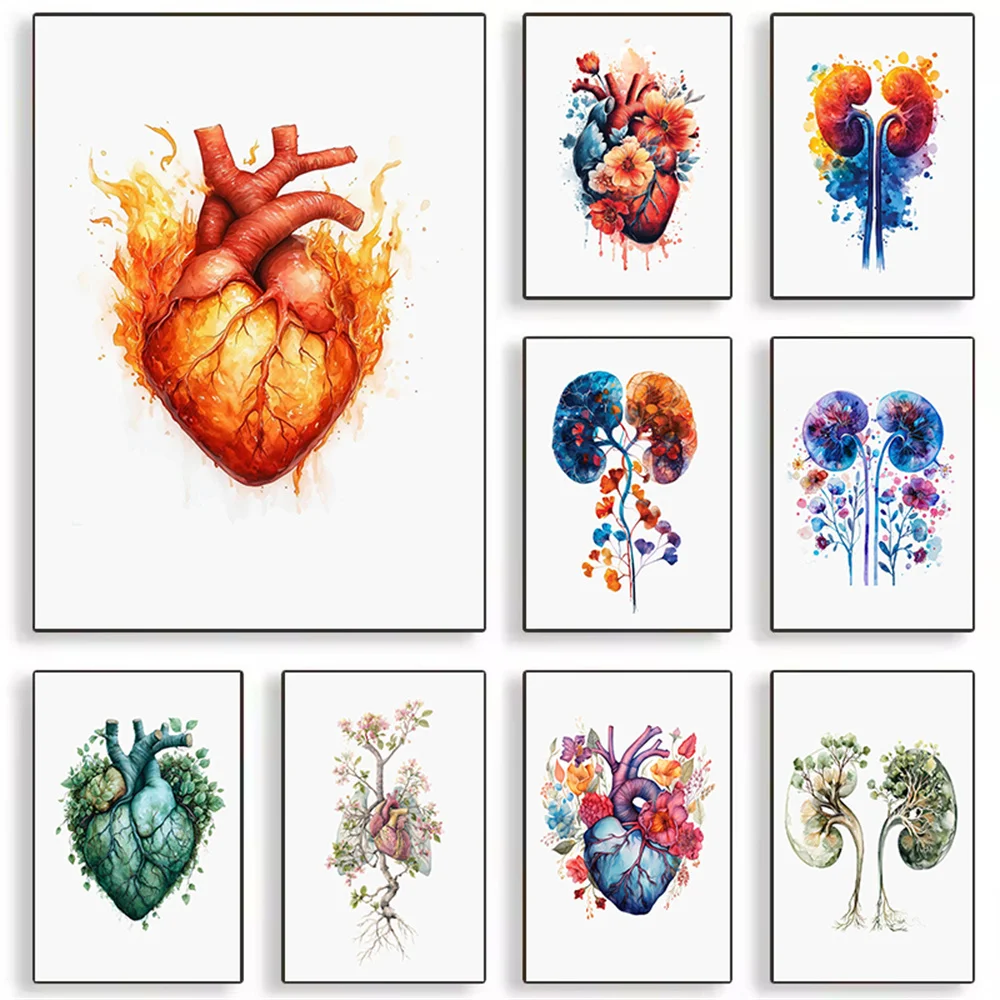 Heart and Kidney Anatomy Diagrams, Abstract Wall Art Posters, Watercolor Heart Organ Flame Patterns, Human Anatomy Art Works